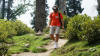 India 2013: trekking a Gulmarg