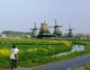 Paesi Bassi '14: Zaanse Schans
